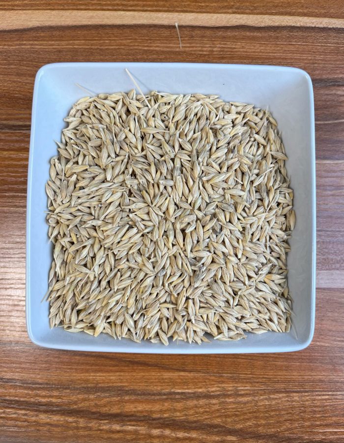 Barley Seed
