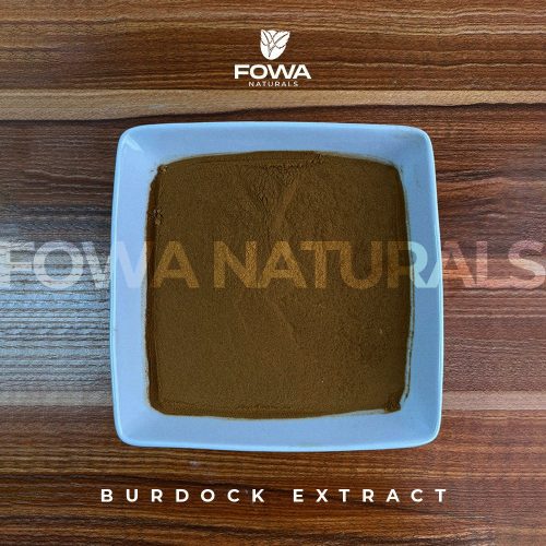Burdock Extract