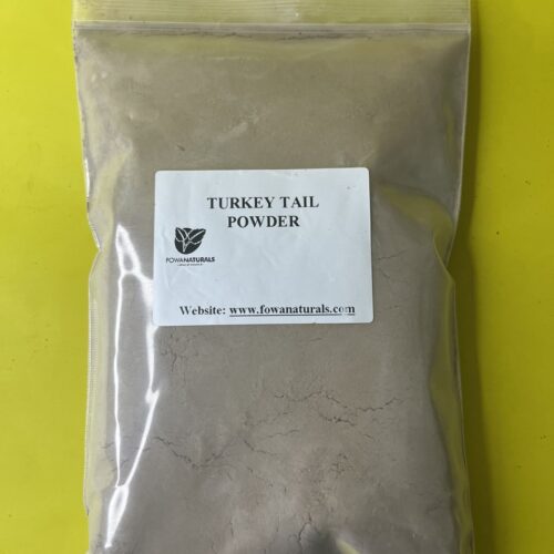 Turkey Tail Mushroom Powder
