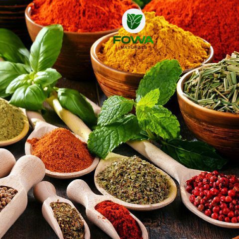 fowa3_480x480-1-1 (16)