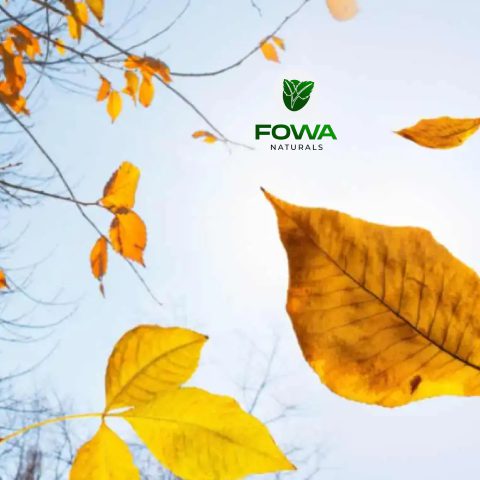 fowa3_480x480-1-1 (23)