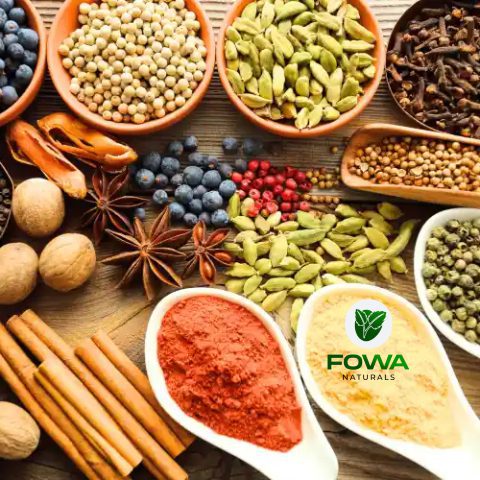 fowa3_480x480-1-1 (26)