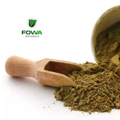 fowa3_480x480-1-1 (3)