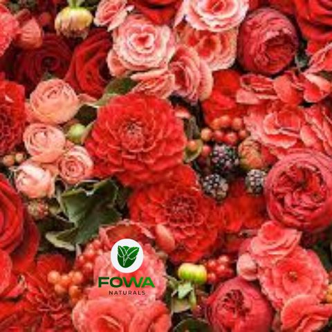 fowa3_480x480-1-1 (32)