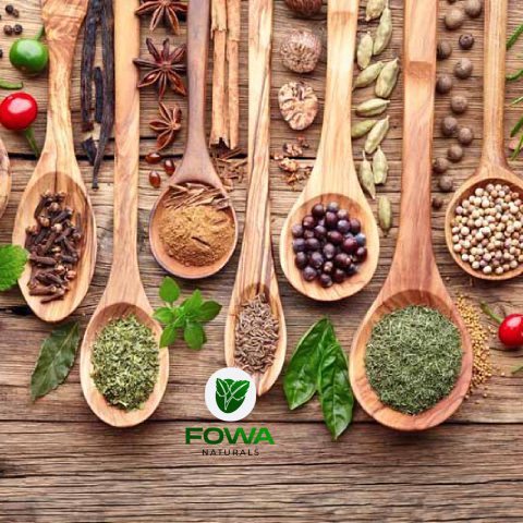 fowa3_480x480-1-1 (38)