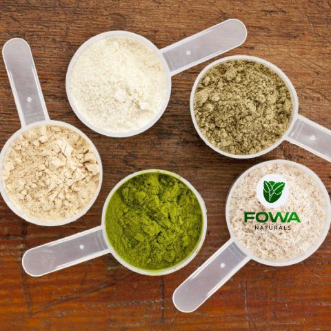 fowa3_480x480-1-1 (44)