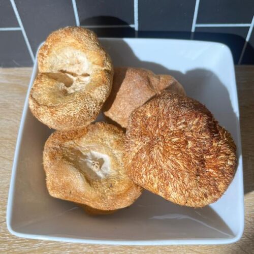Lion's Mane Whole Mushroom