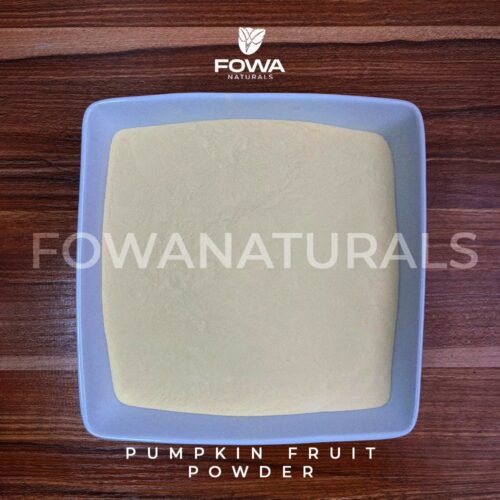 Pumpkin Fruit Powder
